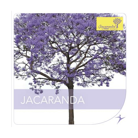 Togu cd jacaranda