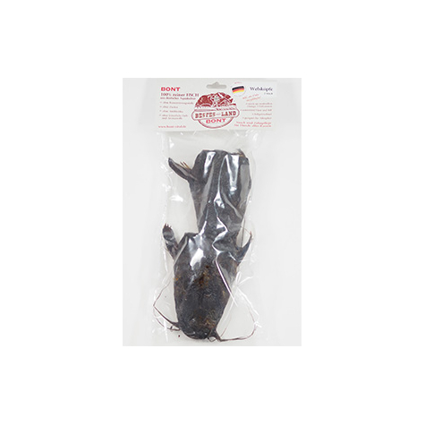 Poisson bont, têtes de poisson-chat bont, 2 petits 200g