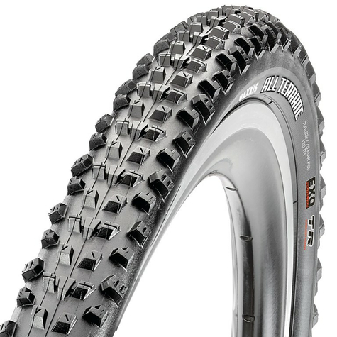 Pneus maxxis tout terrain cx tlr fb.    