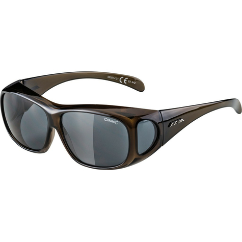 Lunettes de soleil alpina overview            