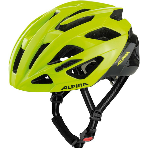 Casque de vo alpina valparola            