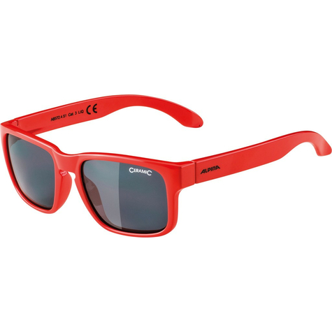 Sunglasses Alpina Mitzo