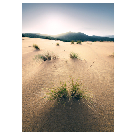 Papier peint photo - vivid dunes - taille 200 x 280 cm